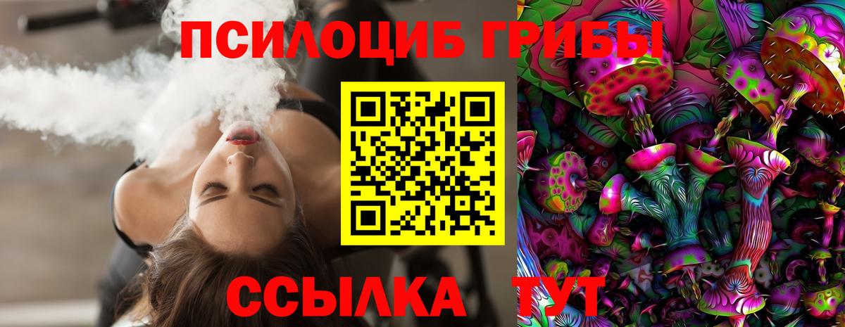 Псилоцибиновые грибы Psilocybe  Вход с VPN  Гай  Галлюциногенные грибы Magic Shrooms 